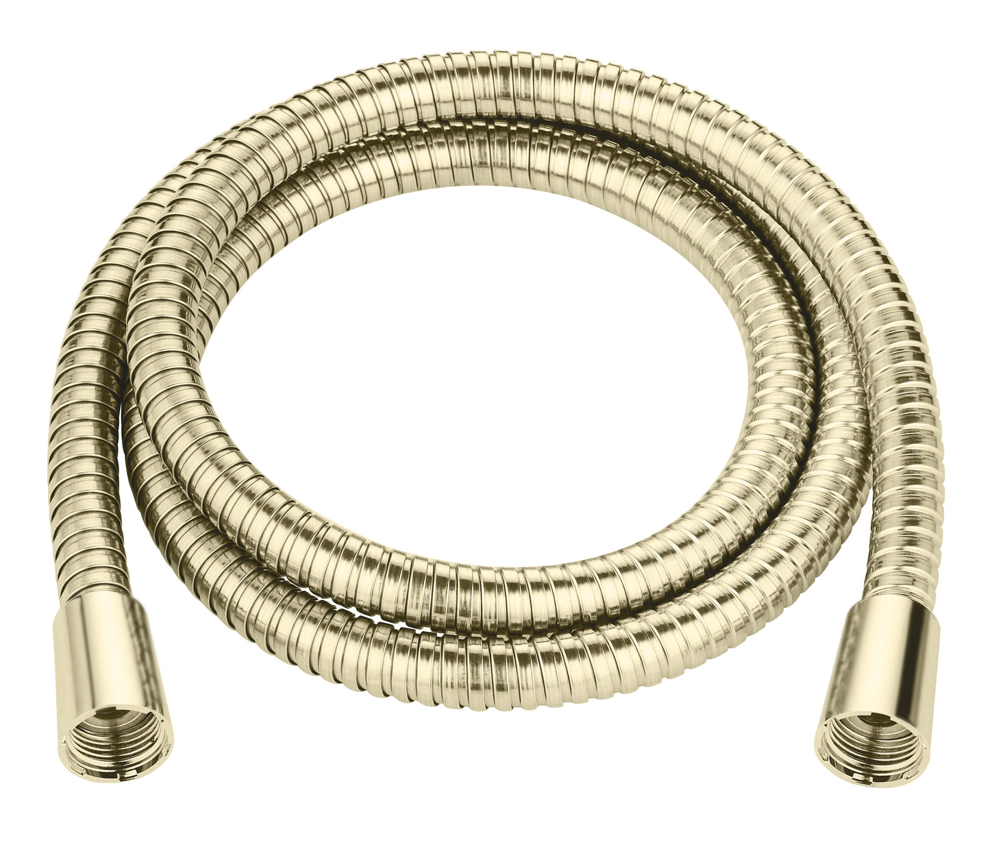 FLO 1.5M STAINLESS STEEL FINISH HOSE BBB