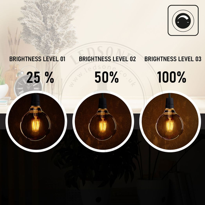 6Pack E27 LED Edison Dimmable Vintage Amber Glass Warm white 2700K Light Bulbs