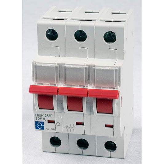 LEWDEN EMS-1003P 100A 3P MAIN SWITCH