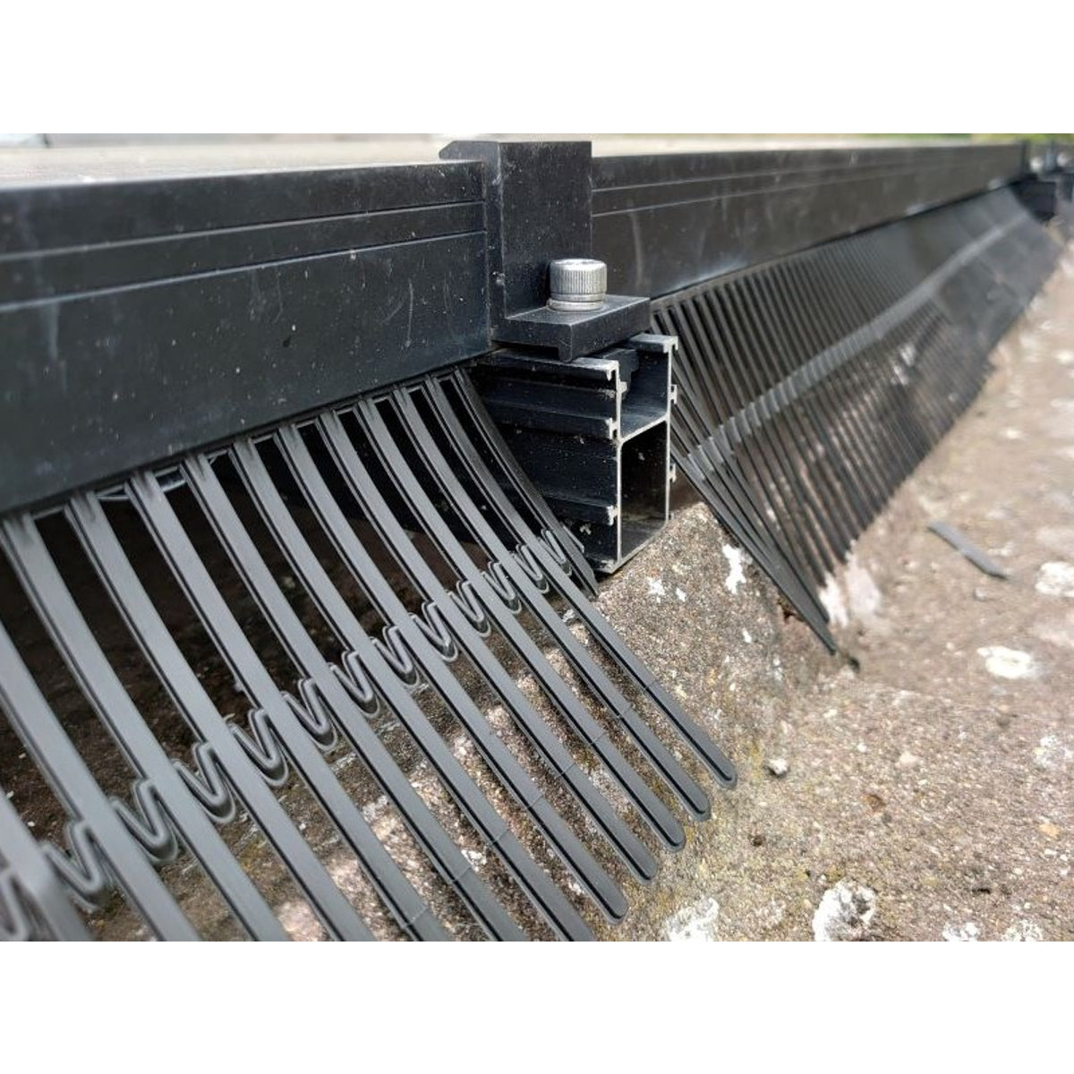 CLENERGY SOLAR TRIM ULTRA BIRD GUARD